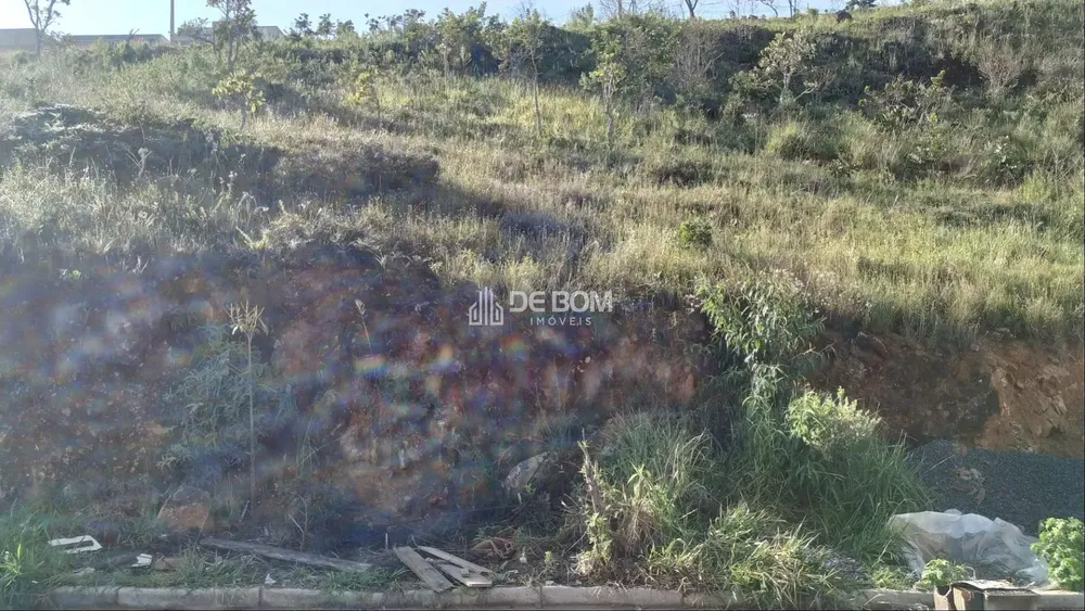 Terreno, 250 m² - Foto 4