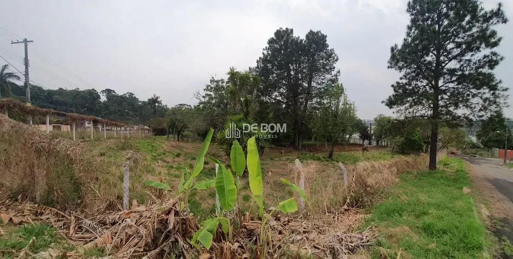 Terreno, 1274 m² - Foto 6