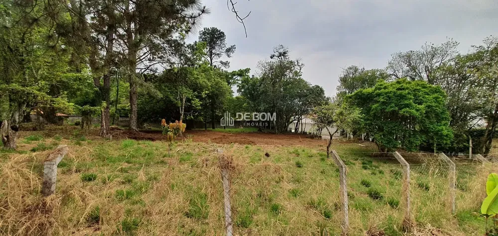 Terreno, 1274 m² - Foto 5