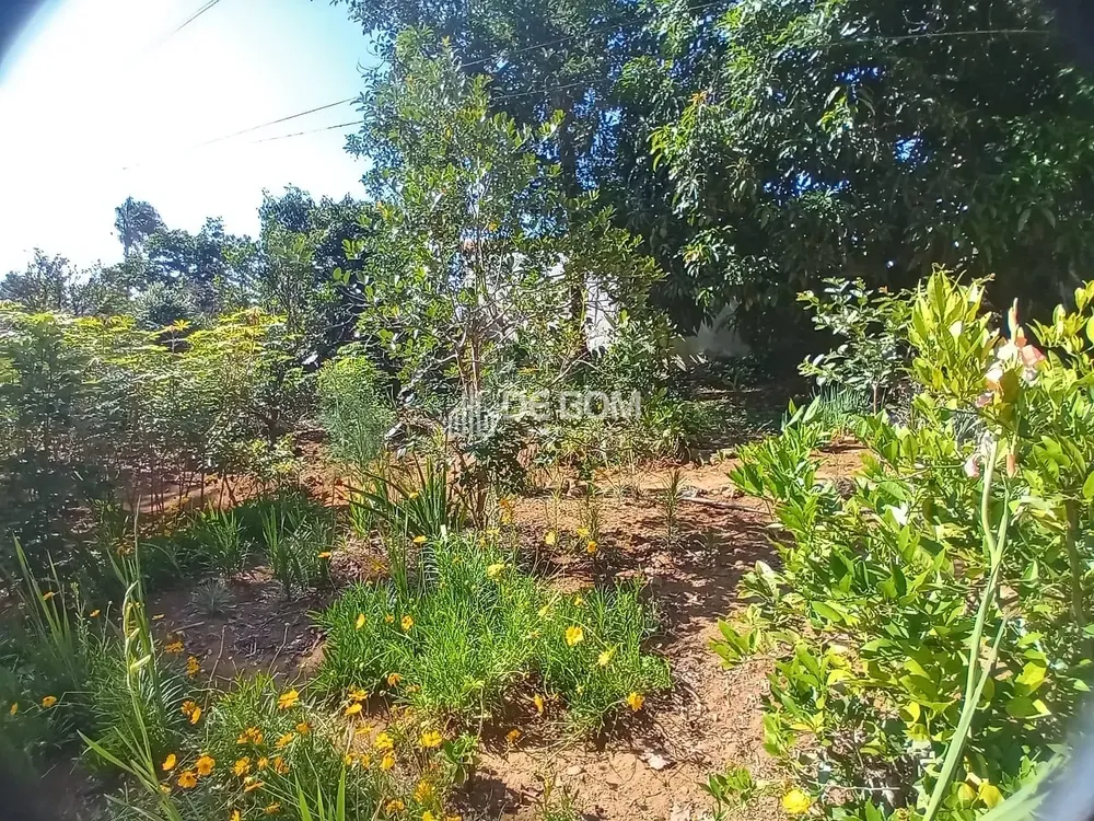 Chácara, 7 quartos, 2600 m² - Foto 2