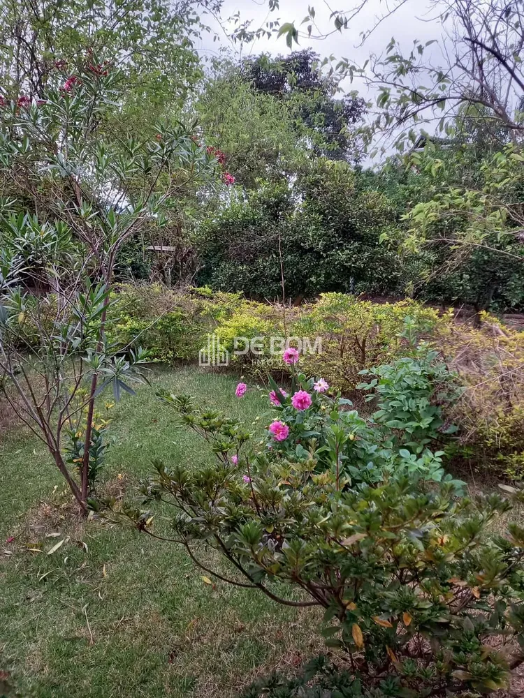 Chácara, 4 quartos, 2418 m² - Foto 15