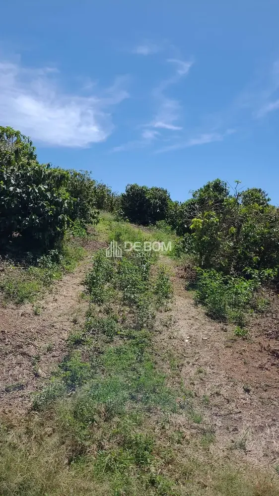 Terreno, 1000 m² - Foto 6