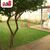 Casa, 3 quartos, 466 m² - Foto 10