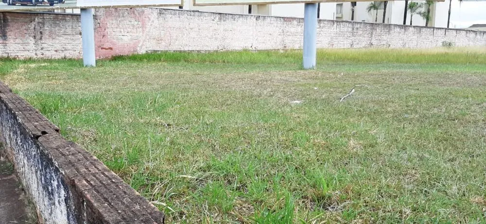 Terreno, 1600 m² - Foto 3