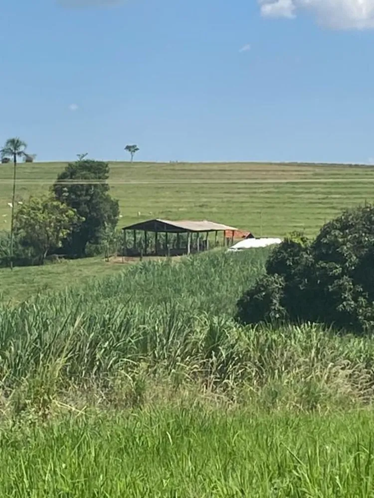 Sítio, 4 quartos, 24 hectares - Foto 8