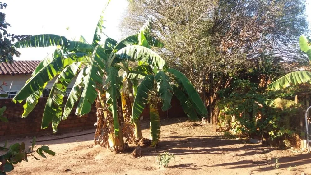 Casa, 3 quartos, 200 m² - Foto 7