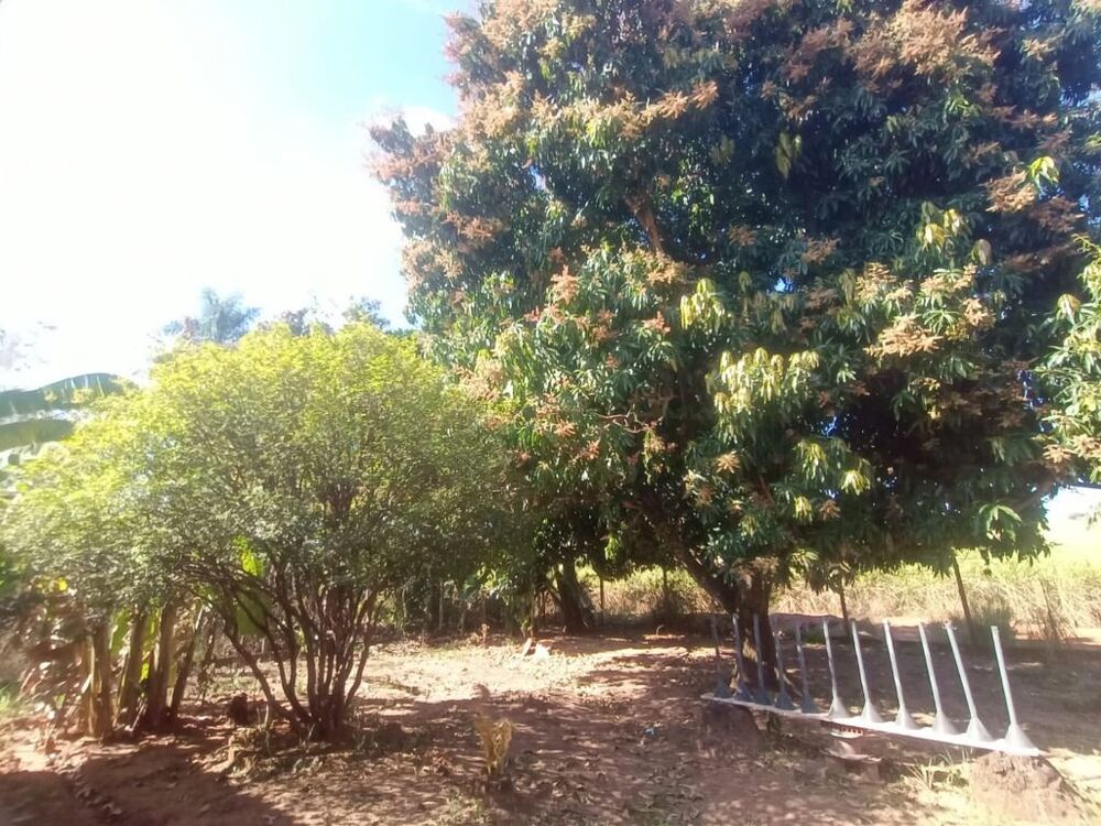 Chácara à venda com 3 quartos, 2440m² - Foto 10