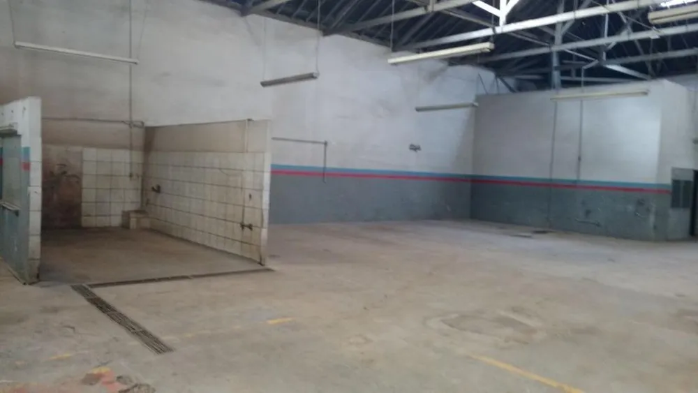 Loja-Salão, 1000 m² - Foto 6