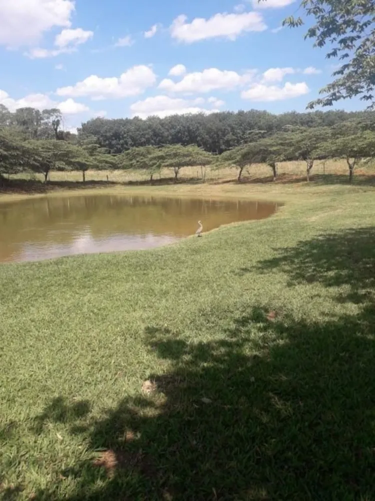 Terreno, 7 hectares - Foto 1