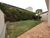 Casa, 3 quartos, 250 m² - Foto 9