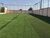 Chácara, 1 quarto, 2000 m² - Foto 2