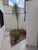 Casa, 3 quartos, 130 m² - Foto 1