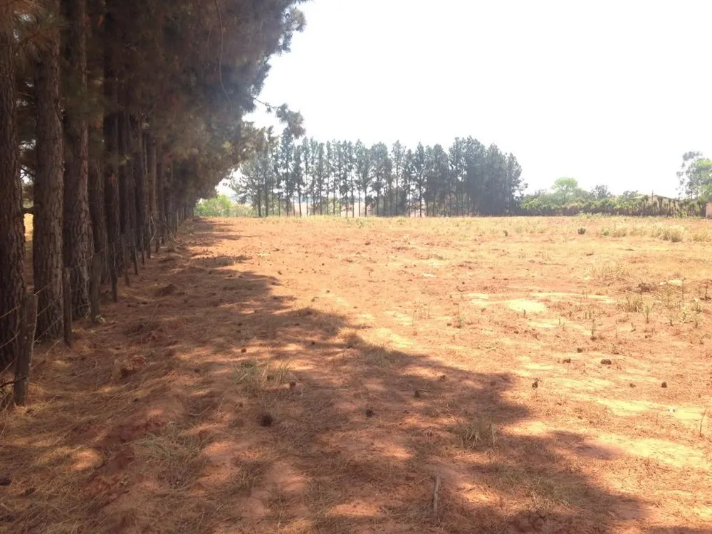 Terreno, 2 hectares - Foto 9
