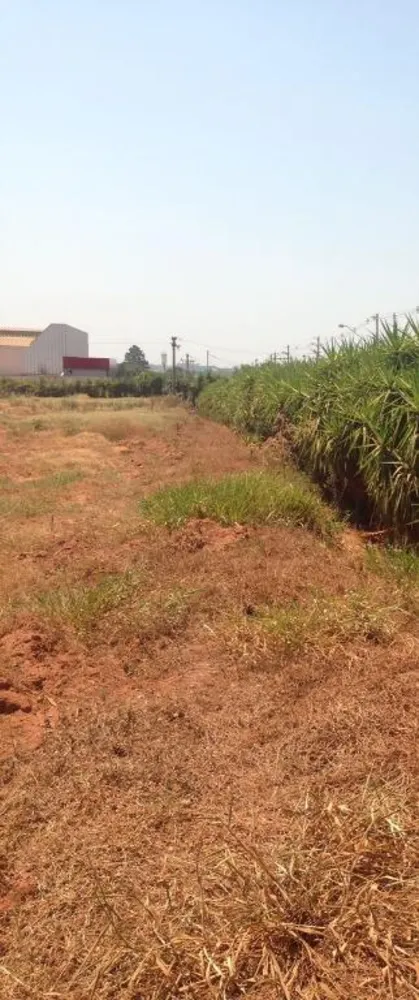 Terreno, 2 hectares - Foto 8