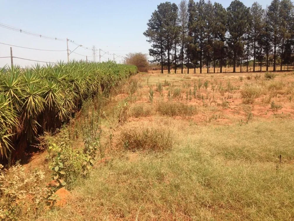 Terreno, 2 hectares - Foto 10