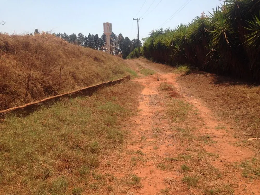 Terreno, 2 hectares - Foto 2