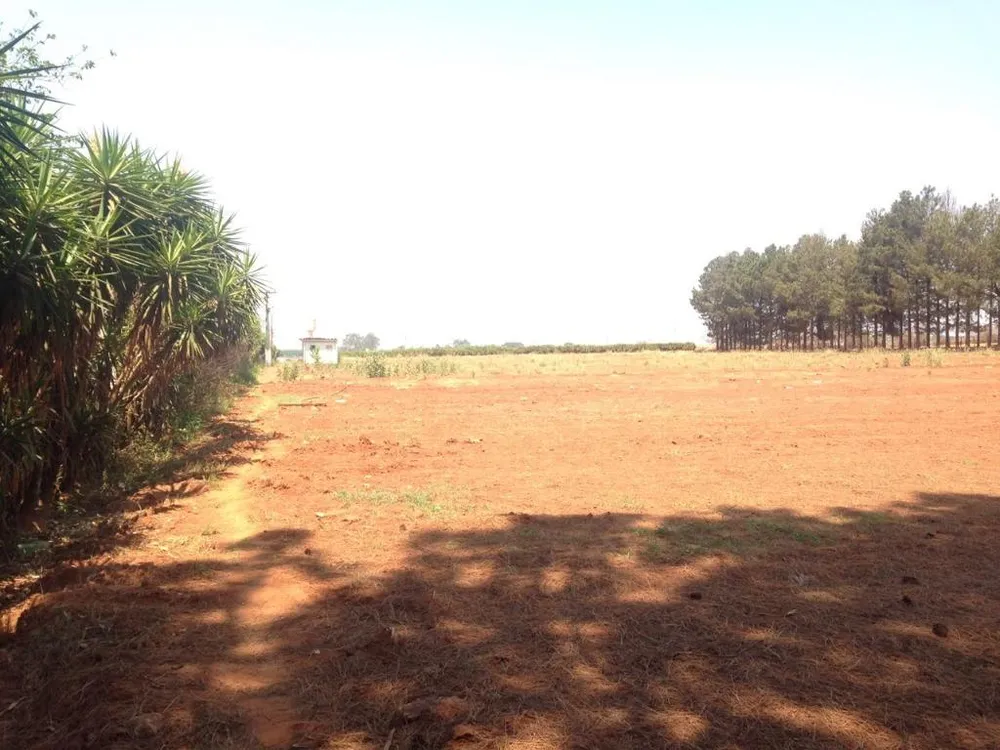 Terreno, 2 hectares - Foto 6