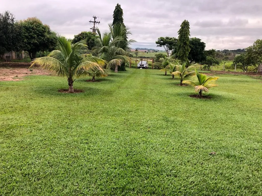 Chácara, 1 quarto, 5000 m² - Foto 2