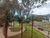 Sala-Conjunto, 48 m² - Foto 4
