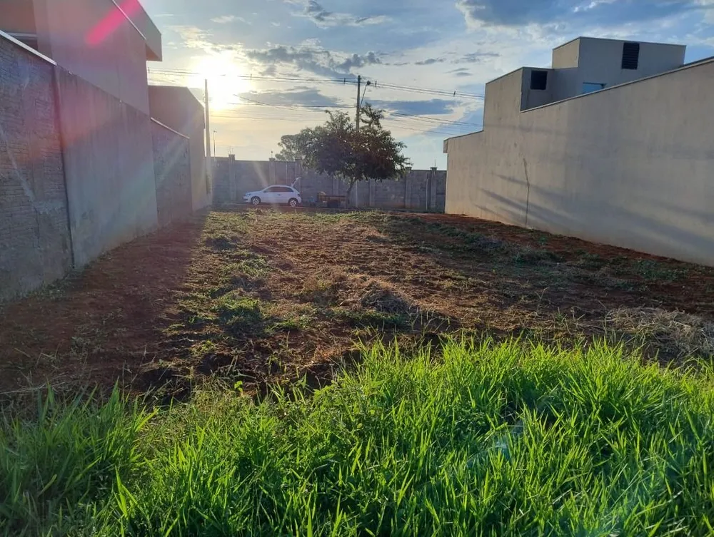 Loteamento e Condomínio, 250 m² - Foto 2