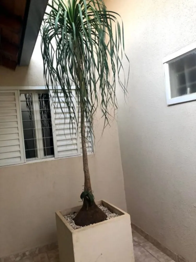 Casa, 3 quartos, 130 m² - Foto 7