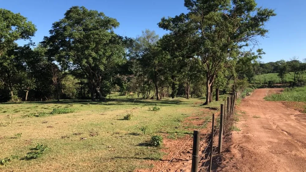 Terreno, 56 hectares - Foto 6