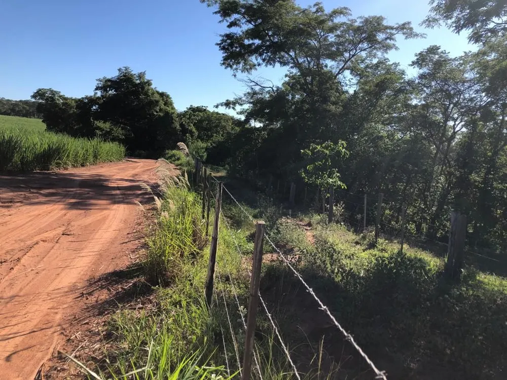 Terreno, 56 hectares - Foto 7