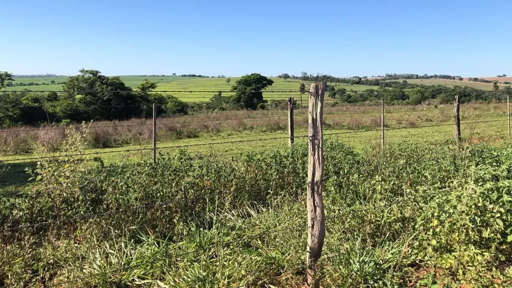 Terreno, 56 hectares - Foto 8