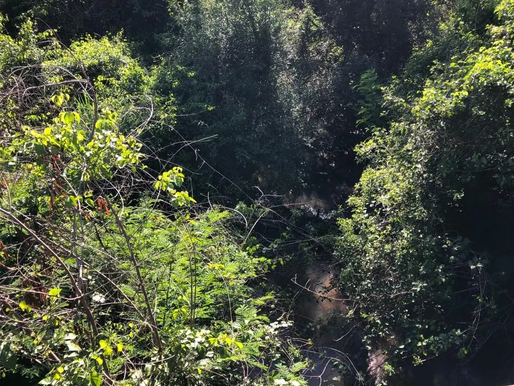 Terreno, 56 hectares - Foto 11