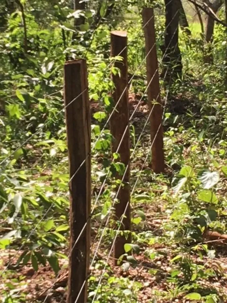 Terreno, 56 hectares - Foto 1
