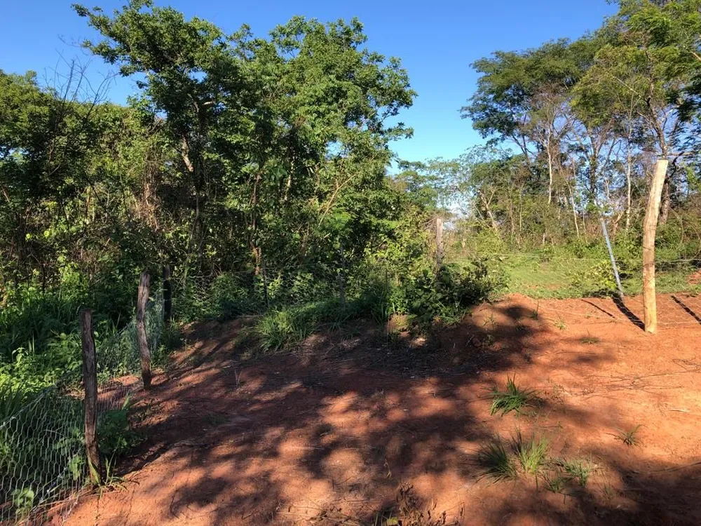 Terreno, 56 hectares - Foto 4