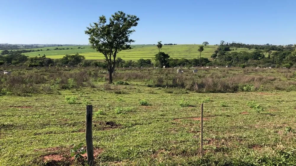Terreno, 56 hectares - Foto 9