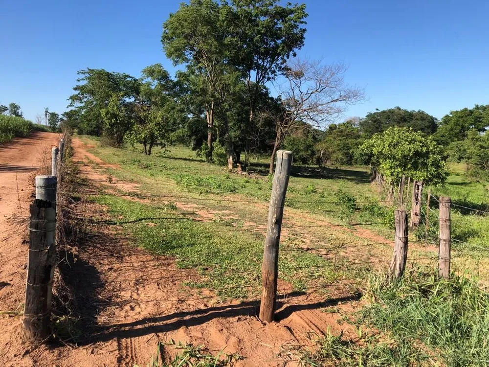 Terreno, 56 hectares - Foto 4
