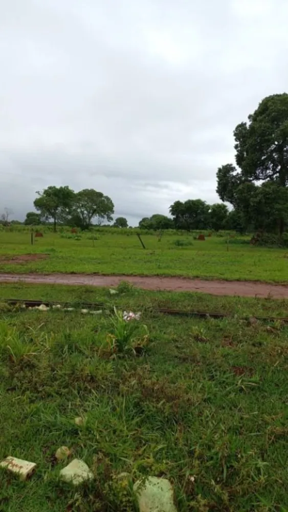 Fazenda, 402 hectares - Foto 5