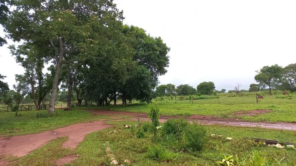 Fazenda, 402 hectares - Foto 1