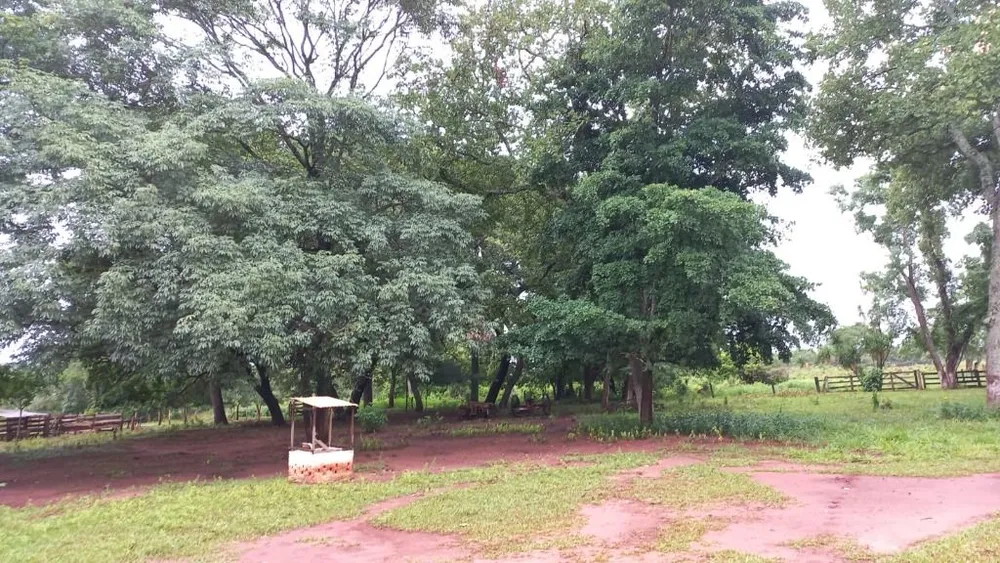 Fazenda, 402 hectares - Foto 6