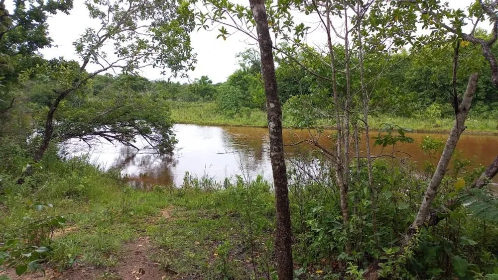 Fazenda, 402 hectares - Foto 8