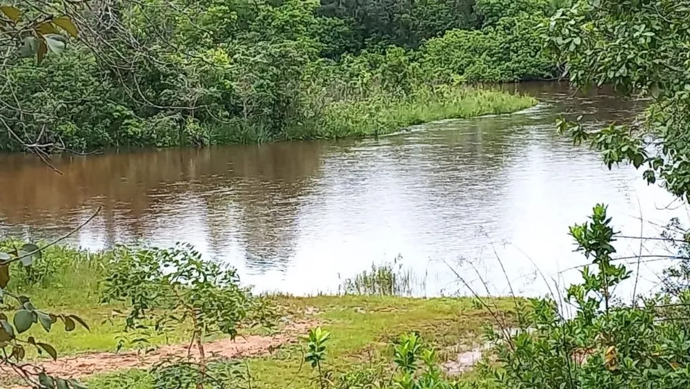 Fazenda, 402 hectares - Foto 3