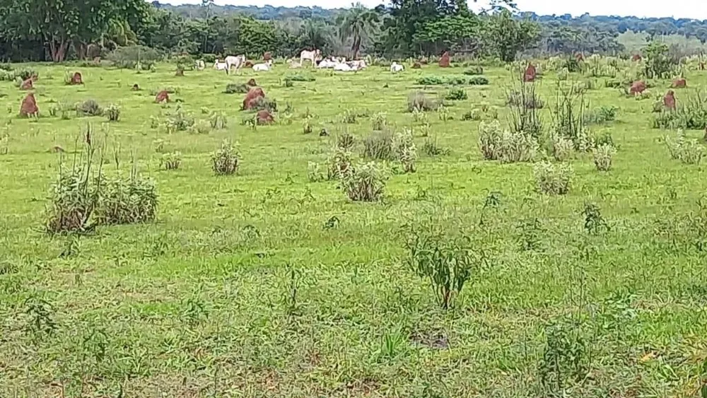 Fazenda, 402 hectares - Foto 9