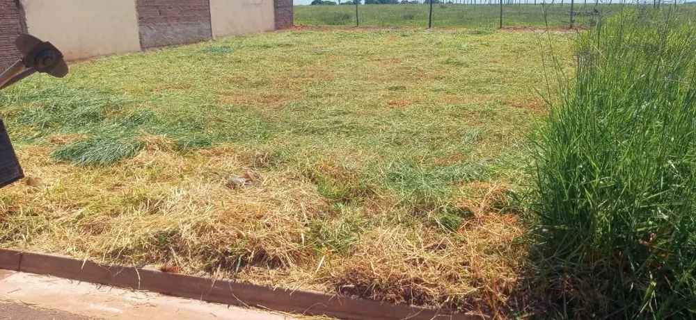 Terreno, 200 m² - Foto 2