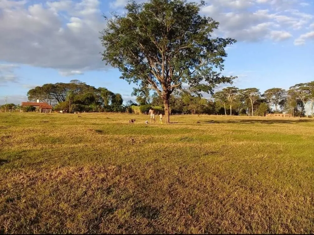 Chácara, 2 quartos, 2 hectares - Foto 3