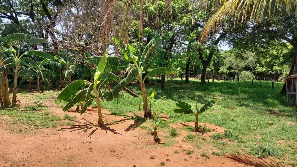 Chácara, 2 quartos, 2 hectares - Foto 7