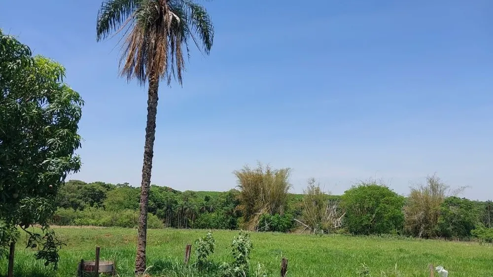 Chácara, 2 quartos, 2 hectares - Foto 2