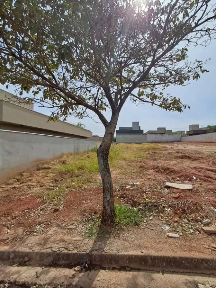 Loteamento e Condomínio, 560 m² - Foto 1