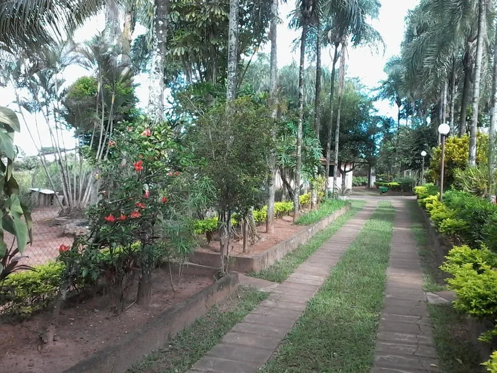 Chácara, 3 quartos, 1000 m² - Foto 5