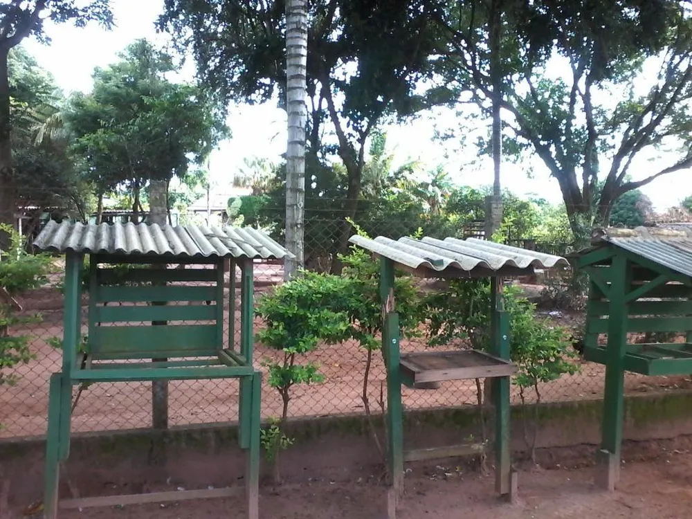 Chácara, 3 quartos, 1000 m² - Foto 3