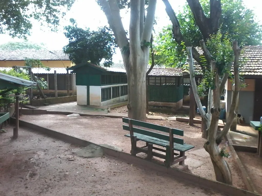 Chácara, 3 quartos, 1000 m² - Foto 1