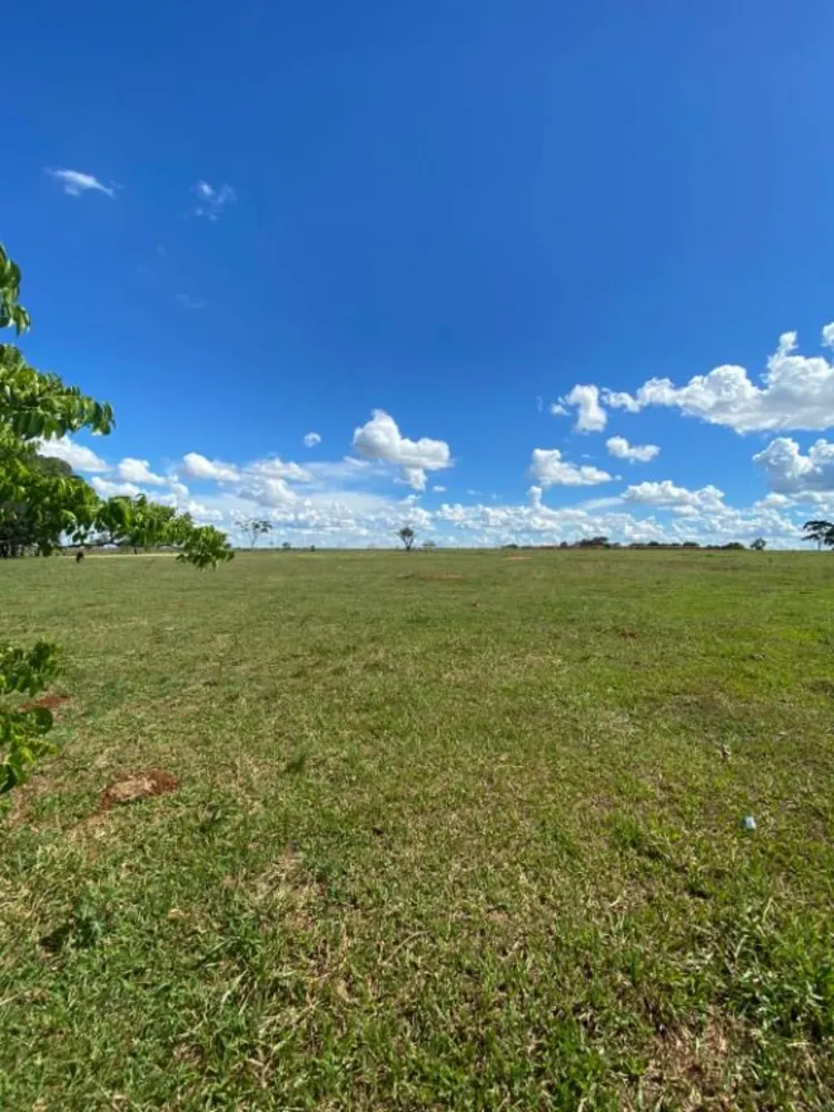 Terreno, 7 hectares - Foto 3