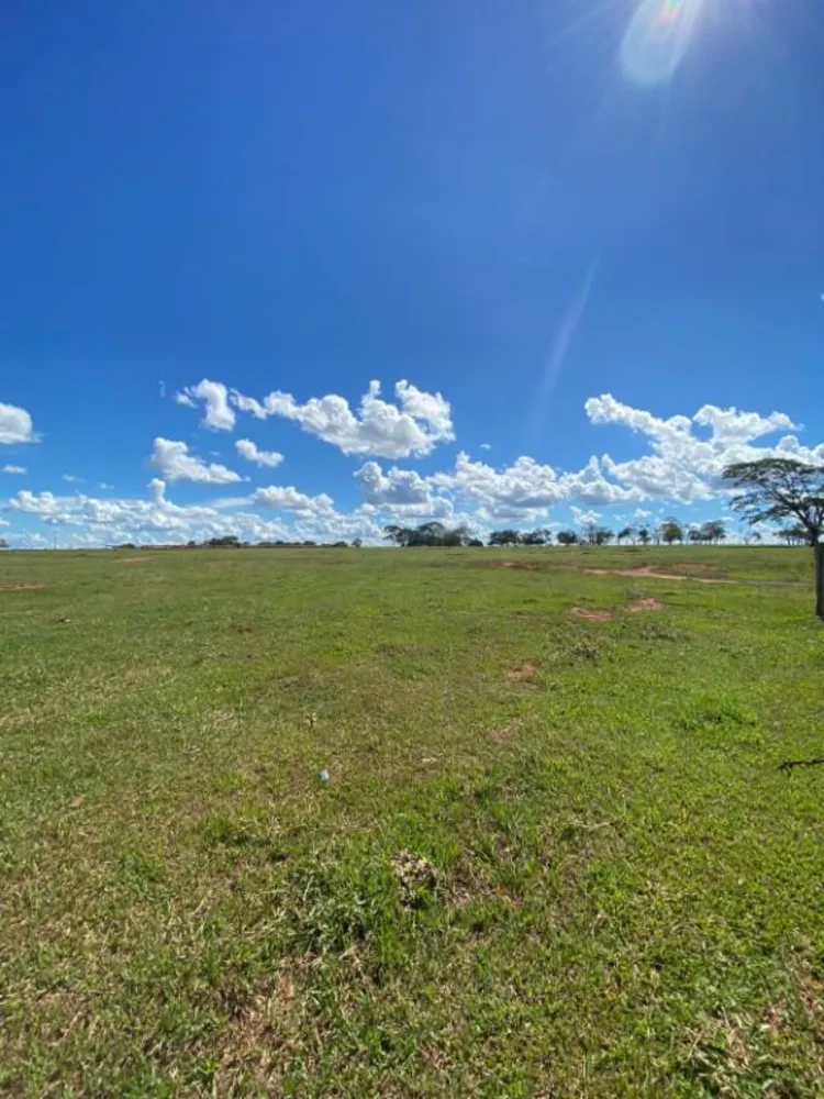Terreno, 7 hectares - Foto 4