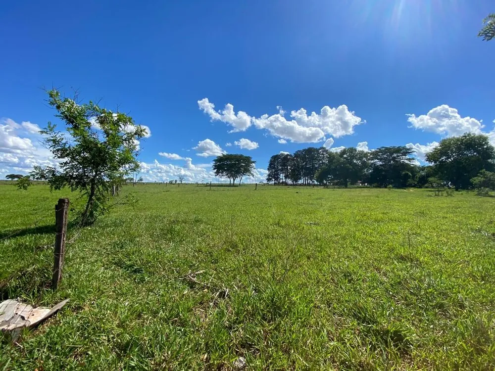 Terreno, 7 hectares - Foto 8